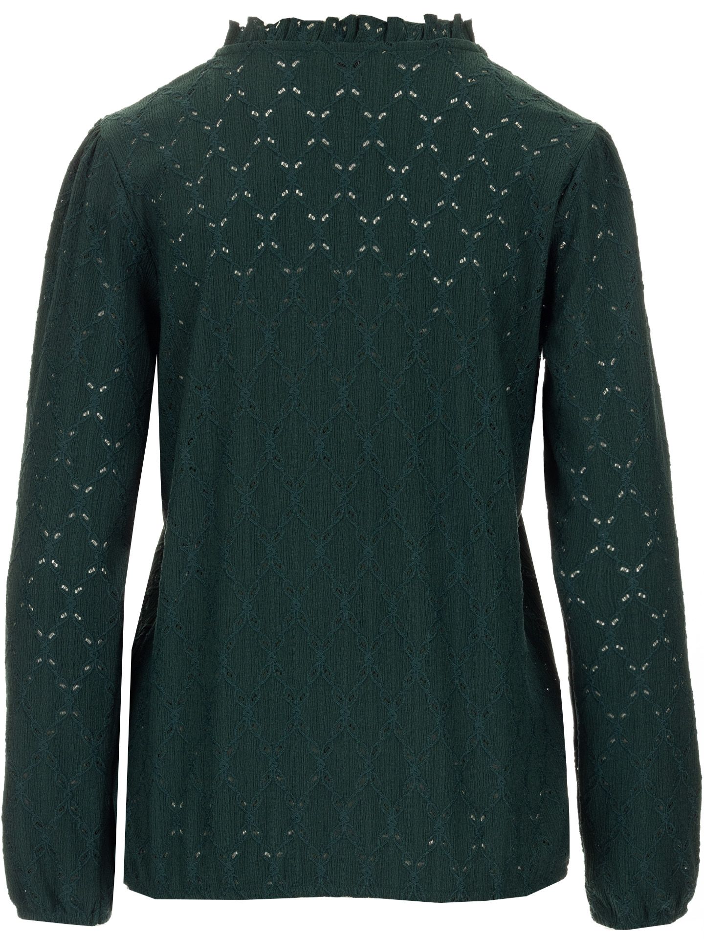 Dreamstar Blouse Josse Groen 00079557-6500