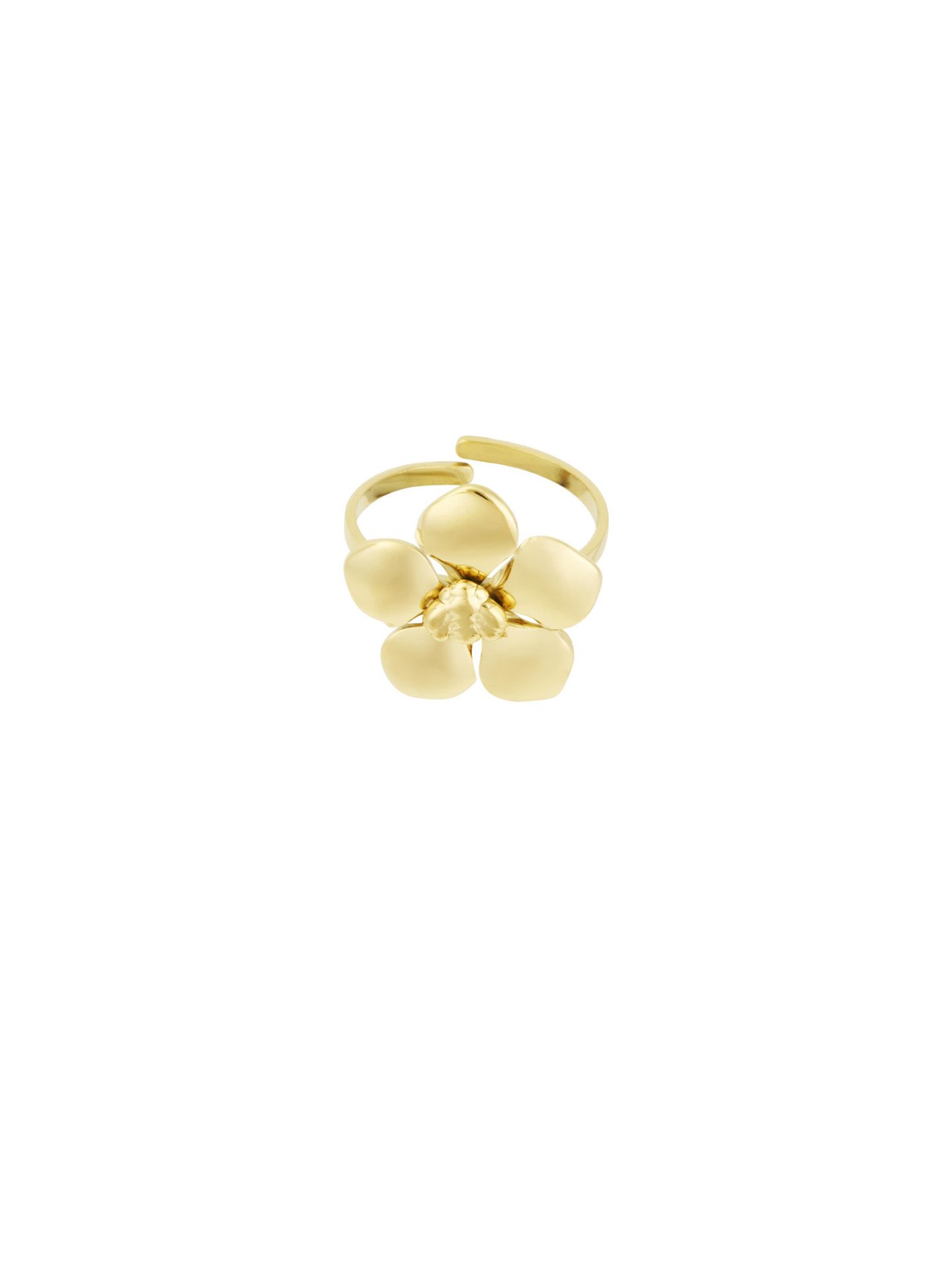 Schijvens mode Ring Anna Goud 00081169-2400