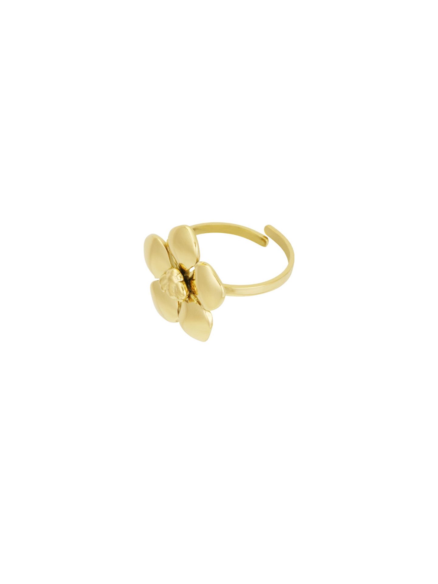 Schijvens mode Ring Anna Goud 00081169-2400