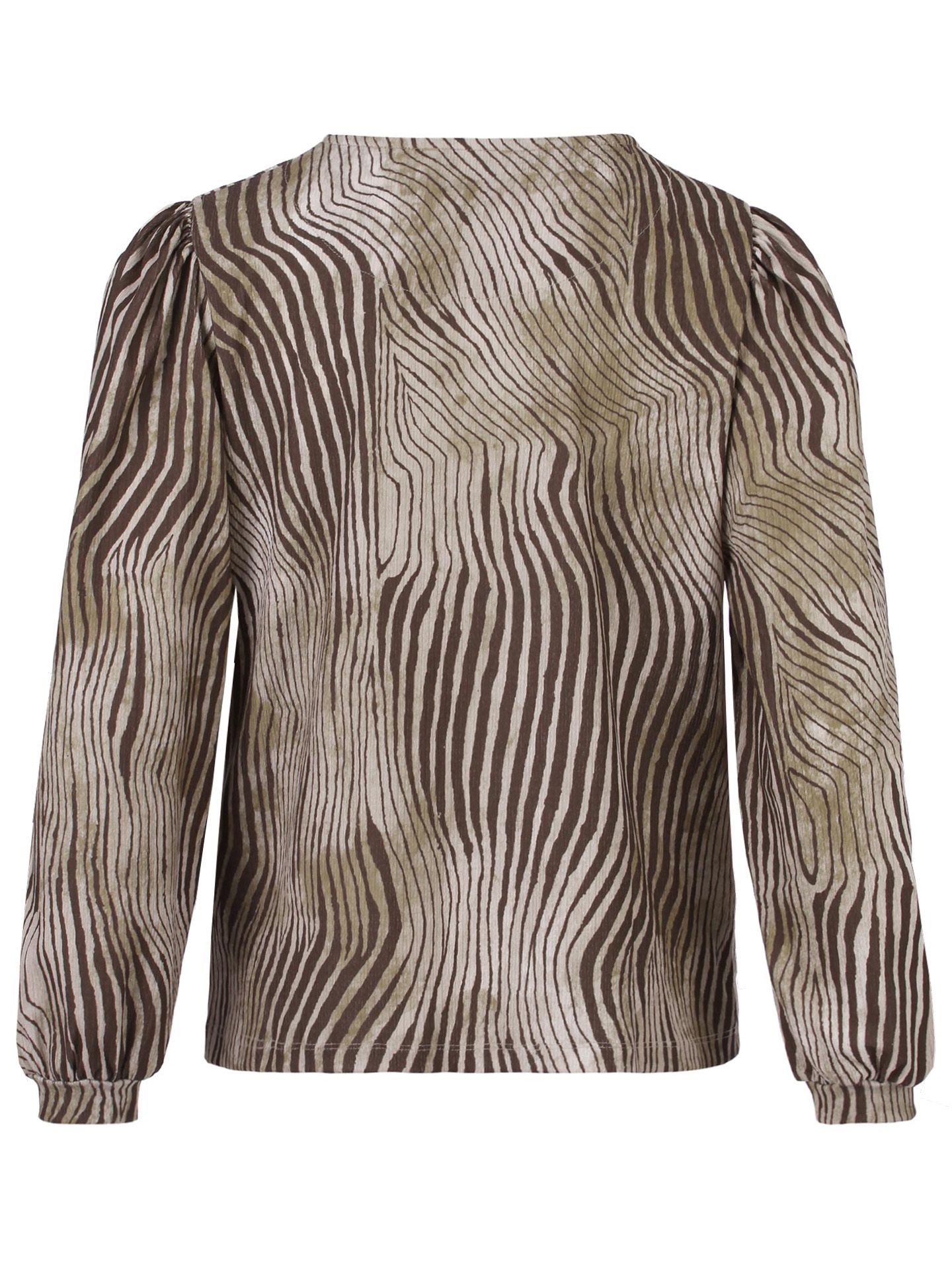 Enjoy Womenswear Blouse Olivia Bruin 00082850-5800