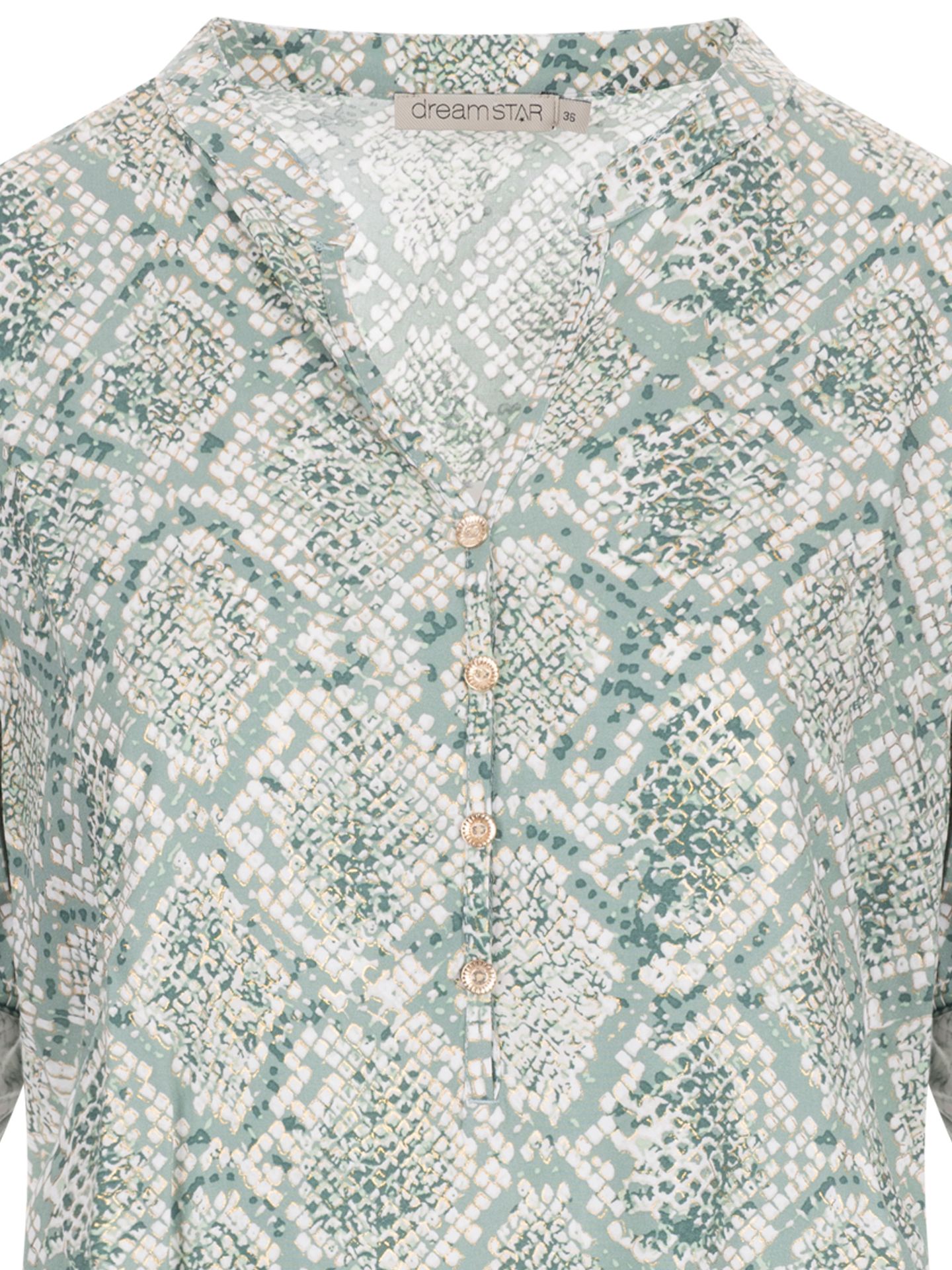 Dreamstar Blouse Maxx Groen 00083062-6400