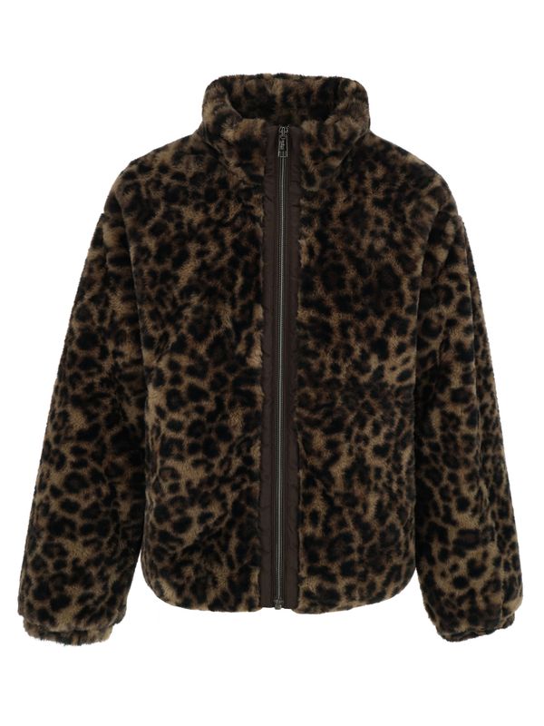 Covered Jack Chloe Bruin 2900080538043