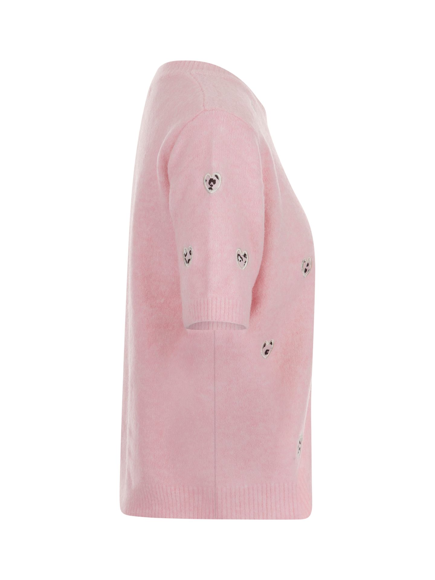 By Clara Trui Jonna Roze 00083832-4700