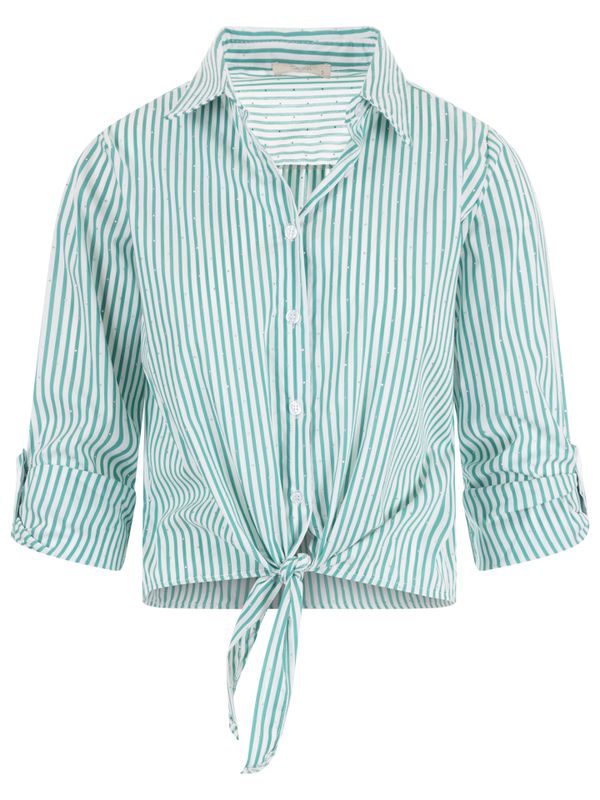 SAAR Blouse Vibe Groen 2900081041023